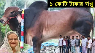 হাট কাঁপানো সেরা ৫টি গরু (পর্ব-০৫) | গরুটিকে দেখলে অজ্ঞান হয়ে যাবেন  | SCIENCE BD