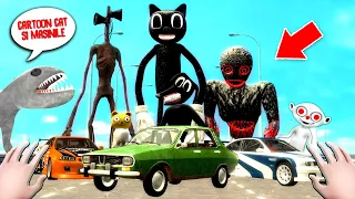 CARTOON CAT si DACIA 1300 la 1 DIMINEATA!