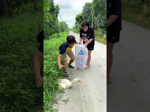 Con vịt này số hên quá | Crazy funny couple 😝😝| Kem Family Shorts #shorts