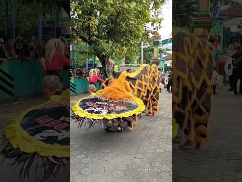 Mayoret Dimakan Barongan #shorts