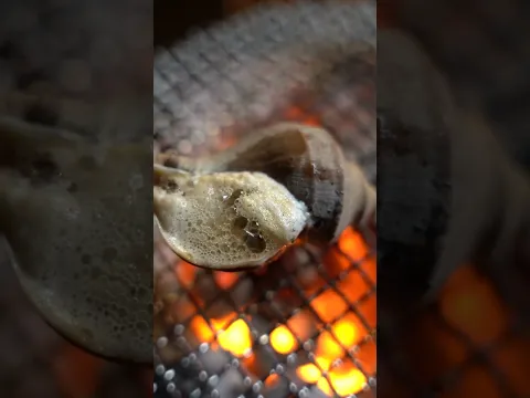 【七輪】 ツブ貝の炭火焼がうますぎる！#seafood #食テロ #asmr #炭火焼き