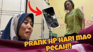 Prank HP HARIMAO PECAH!!!😱😱🤯 habislah kita