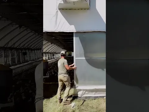 क्या आप ने इस तरह का मुर्गी 🐔 पालन देखा हैं ? Mobile Chicken Coops