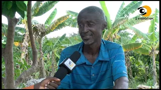 S3XUAL WEAKNESS IS OVER SO JUST LISTEN TO WOFA AMOAKO THE KING OF LOCAL HERBS