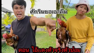 ศักรินขอเอาคืนตอน ไอ้เเดงตัวจริงตัวปอม (เต็มเรื่อง)#ละครสั้น#หนังสั้น