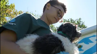 70 years fighting for animals!