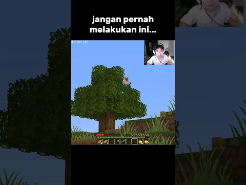 bukankah ini meme ayam diatas pohon??