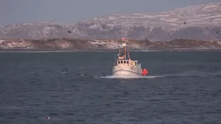 Fishing Cod in wintertime in Iceland