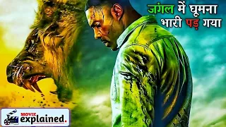 क्या ये आदमी खुंखार शेर से अपने परिवार को बचा पाएगा ?🎬 Movie Explained in Hindi