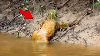মানুষের মত দেখতে এই জিনিসটা কি 😱 জানলে অবাক হয়ে যাবেন | Unbelievable Moments caught on camera
