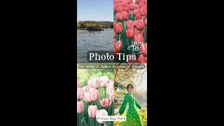 Photo tips for photos for seas of tulips in seas of people