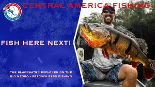 Peacock Bass Fishing in Brazil