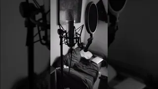 قصيدة عن بدعة المولد النبوي بصوت الأخ مصطفى محمود شعر عماد الدين علي التونسي