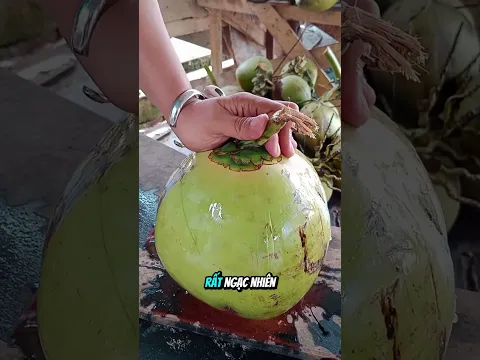 Quả dừa lạ chứa đầy nước gây bất ngờ