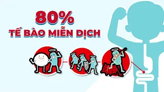 Nestlé BOOST Optimum - Món quà cho sức khỏe cha mẹ