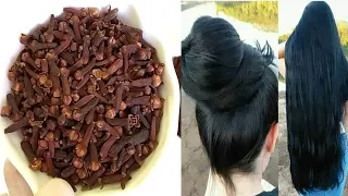 القرنفل هدية ربانية يطول الشعر الى الركب ينبت الشعر حتى لو اصلع يوقف التساقط الشديد ويعالج شيب الشعر