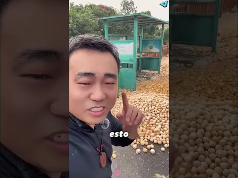 Chenpi (dried tangerine peel) production#didyouknow #knowledge #amazing #fyp #ASMR