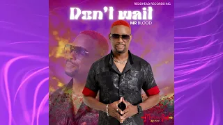 Mr Blood - Don't Wait 2025 SC