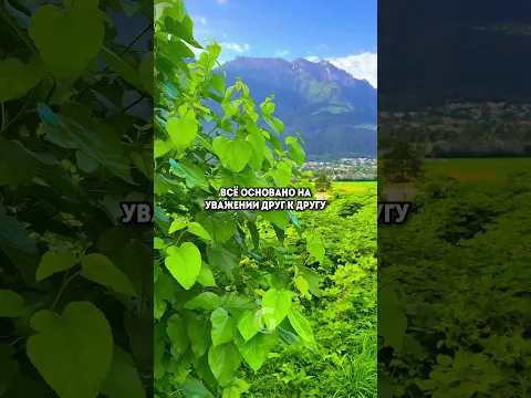 Лучшая страна для жизни в Европе и мире?
