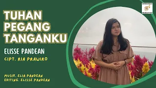 TUHAN PEGANG TANGANKU - ELISSE PANDEAN