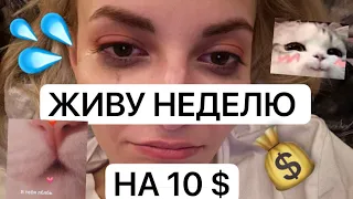 живу неделю на 1000 рублей (удачи лмао)