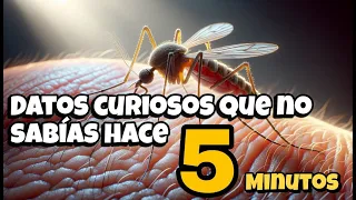 Datos CURIOSOS Que No Sabías Hace 5 MINUTOS 🤔🧠🤯