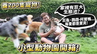 養200多隻寵物?小型動物園開箱!家裡有巨大生態池?【許伯簡芝】【動物開箱】【從零開始養】德爺!巨龜、鸚鵡、柯爾鴨...