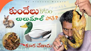 కుందేలు కూర ❌ బాతు కూర ✅