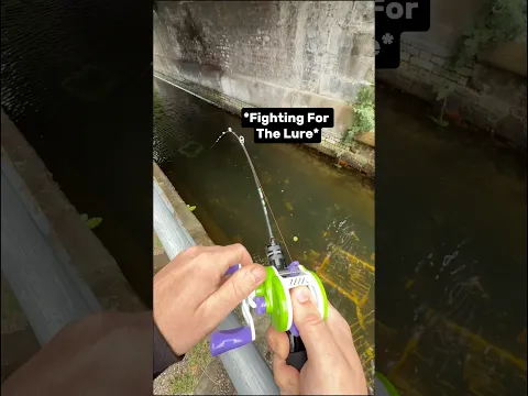 Canal fishing gone WRONG! 💥🤯