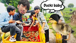 Ducks 🦆 baby rescue kiye 😱#ducks #petsvlog #birdslover #birds #rescue #petsvlog #rescueanimals