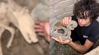 Encontramos algo horrible en este pozo...