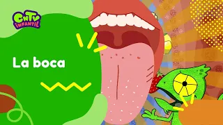La boca | Camaleón y las naturales ciencias 3° temporada