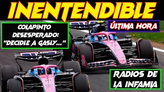GASLY ARDIDO POR LA MAGIA DE COLAPINTO HACE PERDER PUNTOS A ALPINE F1, FRANCO SE MUERDE LA LENGUA