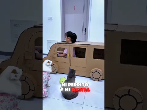Mi primer paseo en el increíble coche de cartón con mi perrito y gatita🤯 #shorts #ytshorts