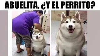 MEMES EPICOS #279
