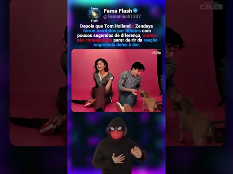 Tom Holland e Zendaya foram mordidos por filhotes com segundos de diferença e fizeram os fãs rirem😂🐶