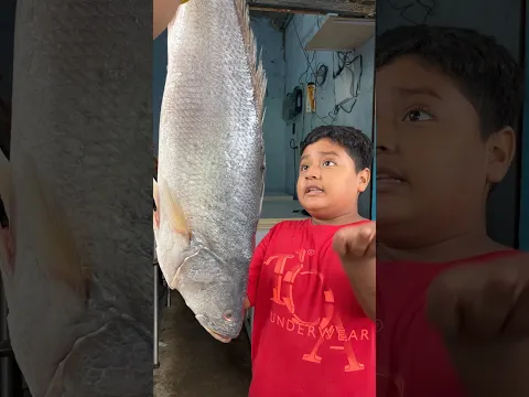 El pescado más grande del Mundo 😨
