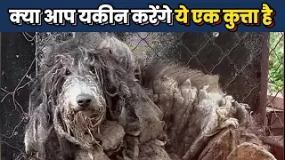 आदमी के जिद से मिली नरक से आजादी |  Freedom from Hell, Won by a Man's Determination