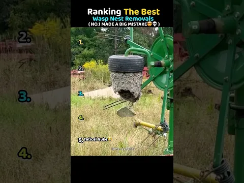 Ranking Best Wasp Nest Removals🐝🤯