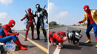 Venom or Deadpool Ban Gaye Pig 🐷 #spiderman