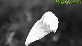 ثلاث ساعات ونصف من أجيب منين مناديل عشان امسح البرابير