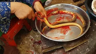 Prepping Eels in the Marketplace