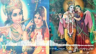 Meera ke Parbhu Girdhar Nagar / Mira ke Parbhu Girdhar Nagar full song / tere jiya hor Disda full