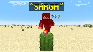 Minecraft, de Megölnek a Színek!