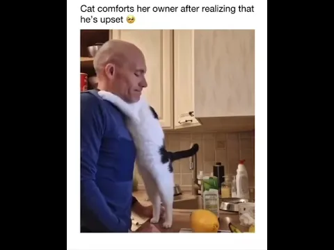 Love & heart of a cat 😻
