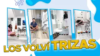 Sapphie haciendo trizas a sus papás por 3 minutos 🐾