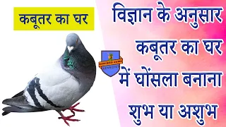 ज्योतिष ,वास्तु ,शास्त्र और विज्ञान के अनुसार कबूतर का घर में घोंसला बनाना शुभ या अशुभ