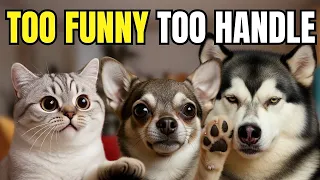 Epic Trolls by Cats, Dogs & Birds! Can't Stop Watching