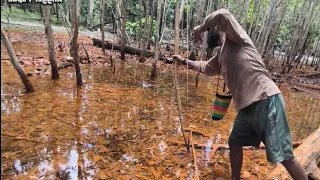 Hunting Snakehead Fish in South Papua Using Arrows
