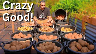I Built the Laziest Potato System on YouTube | 450lbs Every Year Without the Work!